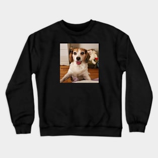 The Happy Beagle Crewneck Sweatshirt